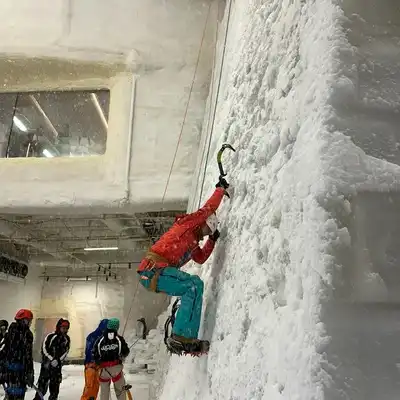 许欣